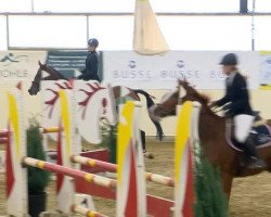 jumper Ebby B (Oldenburg show jumper, 2008, from Epsom Gesmeray)