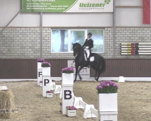 Reitturnier Kirchhellen-RSV Zur Linde 2020