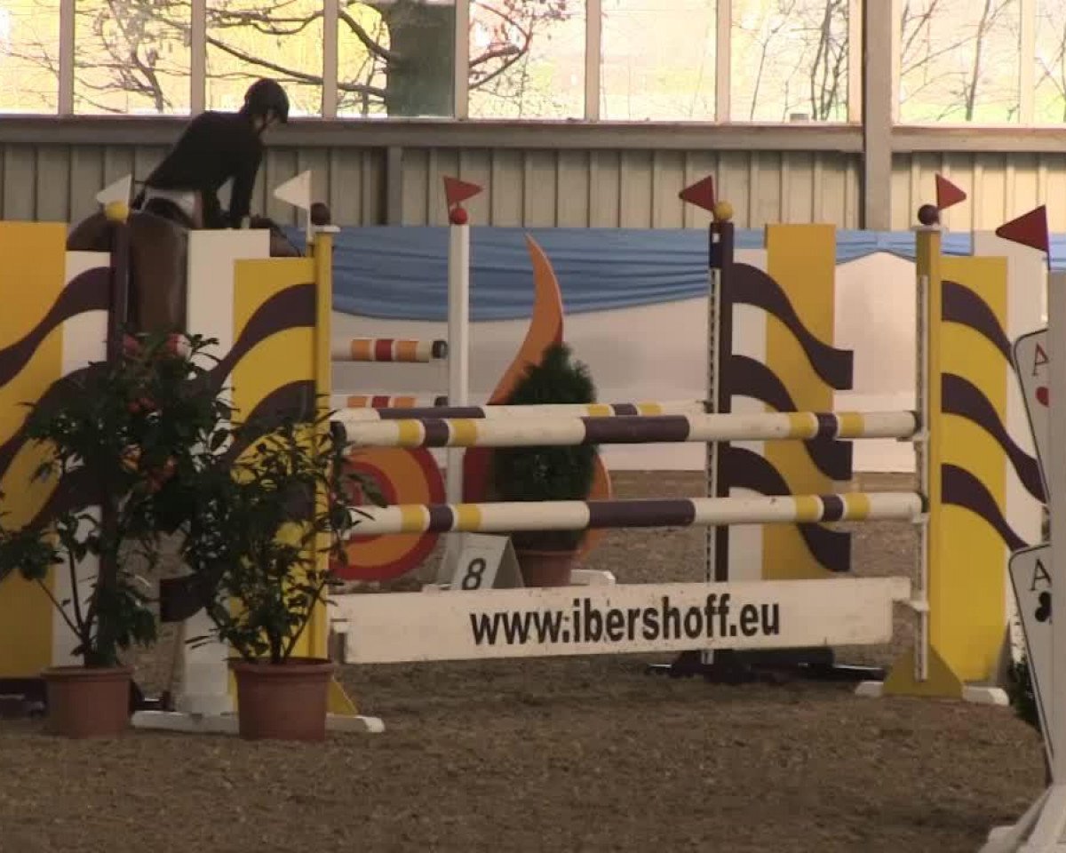 Springpferd Comtessa 122 (Hannoveraner, 2009, von Comte)