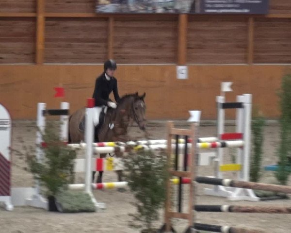 Reitturnier Xanten - Reitanlage Miss 2020