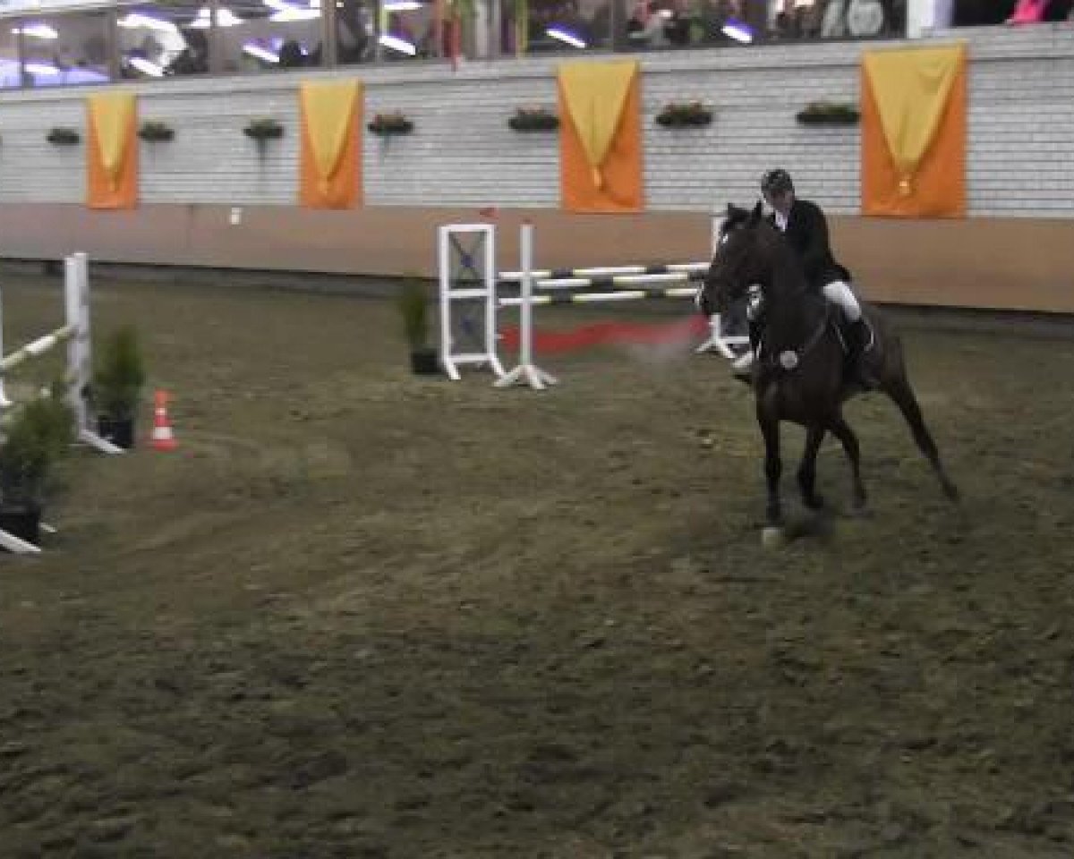 jumper Caspian Blue (Westphalian, 2008, from Captain Fire)