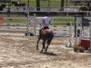 jumper Lord of Rock 2 (German Sport Horse, 2009, from Lionheart)