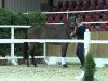 broodmare Anastasia (Oldenburg show jumper, 2011, from Verdi)