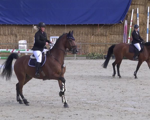 Reitturnier Herxheim 2020
