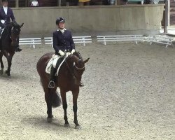 dressage horse Lysann 21 (Westphalian, 2010, from L'espoir)