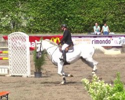 jumper Zador 3 (KWPN (Royal Dutch Sporthorse), 2004, from Querlybet Hero)