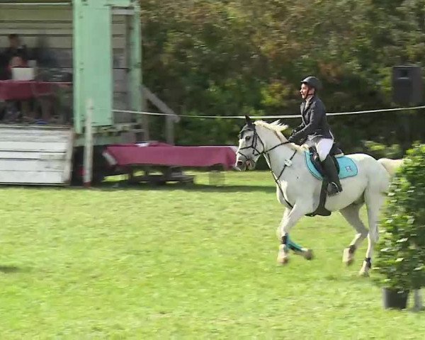 Reitturnier Bad Windsheim/Mfr. 2020