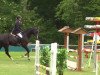 jumper Luk 21 (Oldenburg show jumper, 2009, from Lake Tahoe)