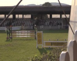 jumper West Wing (Oldenburg show jumper, 2001, from Landjunge)