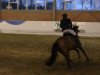 jumper Cuba 32 (KWPN (Royal Dutch Sporthorse), 2007, from Flipper d'Elle)