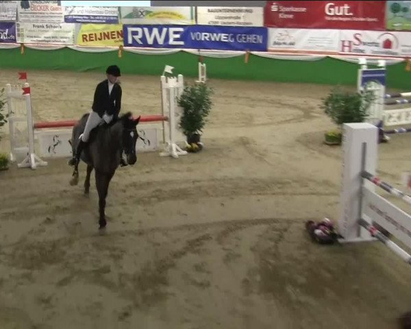 dressage horse Comeback 31 (Rhinelander, 2007, from Cristallo I)