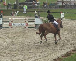 jumper Cognac 108 (Oldenburg, 2008, from Check In 2)