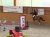 jumper Orchid's Bling-Bling (Nederlands Rijpaarden en Pony, 2006, from Krimh ox)