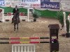 jumper Fit for Party (Hanoverian, 2008)