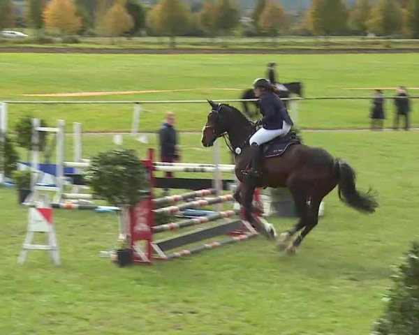 Reitturnier Bad Windsheim/Mfr. 2020