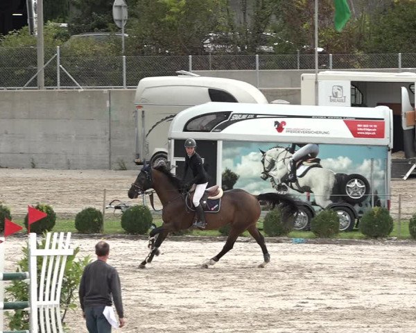 Reitturnier Basel Schänzli 2020