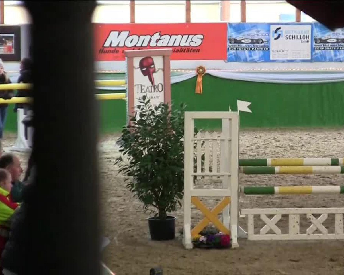 Springpferd Eragon 33 (Rheinländer, 2009, von Espatako)