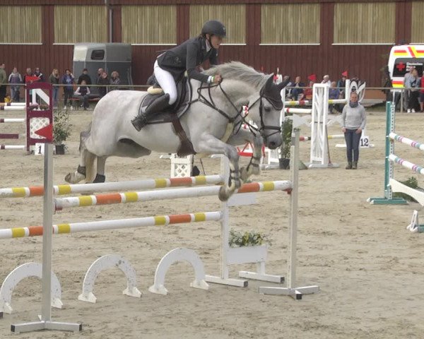 Reitturnier Herxheim 2020