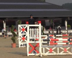 jumper Carlo 419 (Oldenburg show jumper, 2010, from Carrico)