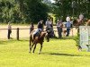 jumper Landmädel 13 (Hanoverian, 2010, from Kingsley Lucky Dance)