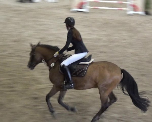 Reitturnier Xanten - Reitanlage Miss 2020