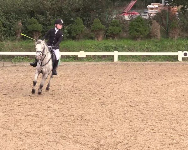 Reitturnier Behrendorf 2020