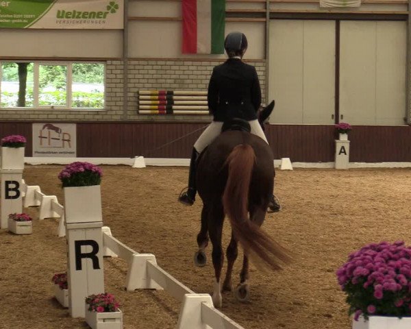Reitturnier Kirchhellen-RSV Zur Linde 2020