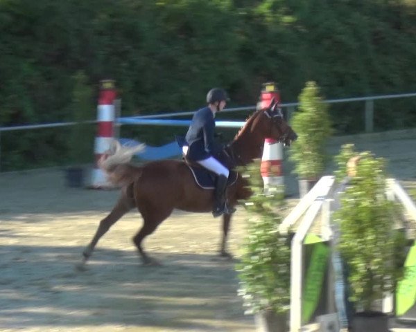 Reitturnier Ladenburg 2020