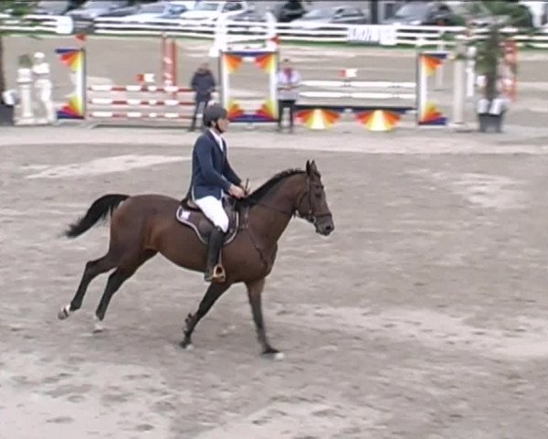 Reitturnier Aesch (Neftenbach) 2020
