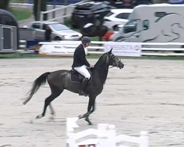 Reitturnier Aesch (Neftenbach) 2020