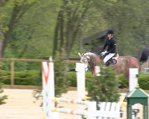 jumper Lotto 11 (Oldenburg show jumper,  )