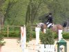 jumper Lotto 11 (Oldenburg show jumper,  )