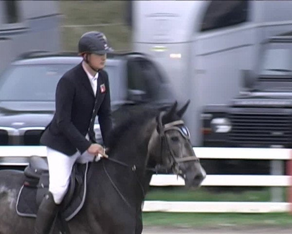 Reitturnier Aesch (Neftenbach) 2020