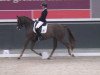 dressage horse Ballantimes (Hanoverian, 2009, from Belissimo NRW)