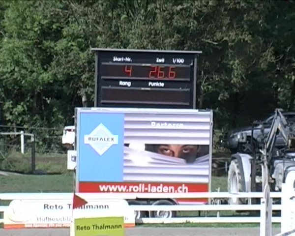 Reitturnier Aesch (Neftenbach) 2020