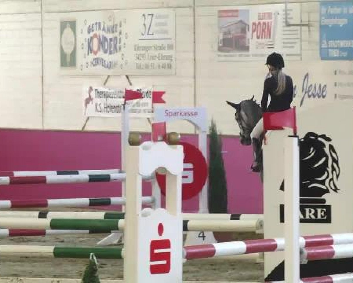 jumper Deja-vu 34 (Zweibrücken, 2009, from Damarco)
