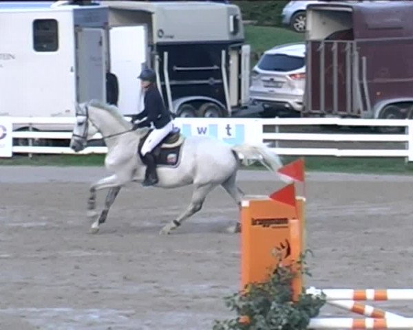 Reitturnier Aesch (Neftenbach) 2020