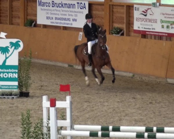 Reitturnier Xanten - Reitanlage Miss 2020
