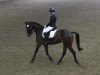 dressage horse Fahari (Westphalian, 2007, from Flovino)