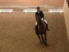 dressage horse Barbakus (Hanoverian, 2010, from Bonifatius)