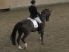 dressage horse Diamond Dream 18 (Hanoverian, 2008, from Don Frederico)