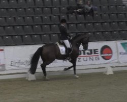 dressage horse Dark Rouge (Hanoverian, 2010, from Don Primus)