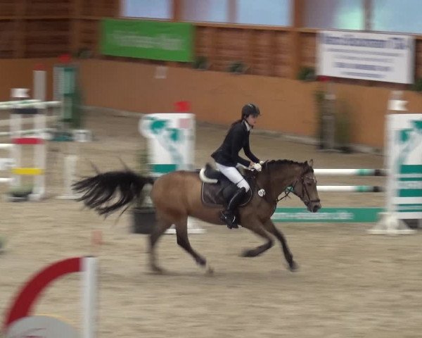 Reitturnier Xanten - Reitanlage Miss 2020