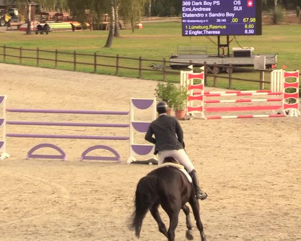 Reitturnier Westergellersen 2020