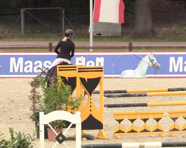 Reitturnier Westergellersen 2020