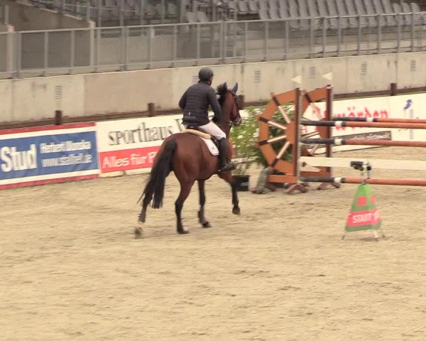 Reitturnier Westergellersen 2020