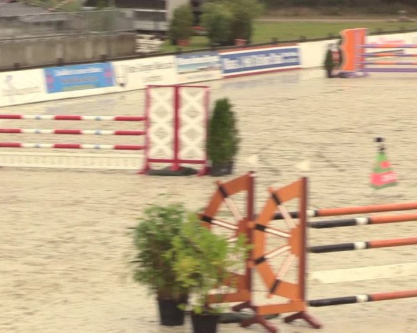Reitturnier Westergellersen 2020