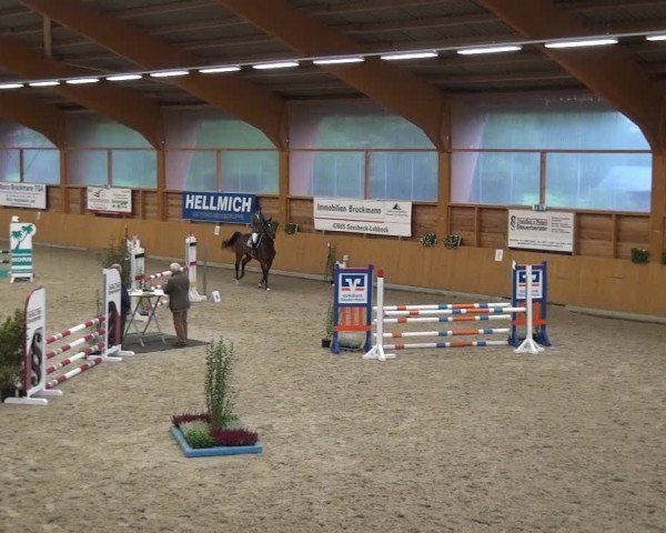 Reitturnier Xanten - Reitanlage Miss 2020