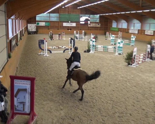 Reitturnier Xanten - Reitanlage Miss 2020