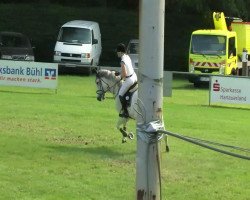 jumper S.I.E.C. Carlos XXII (Swiss Warmblood, 2006, from Colbert GTI)